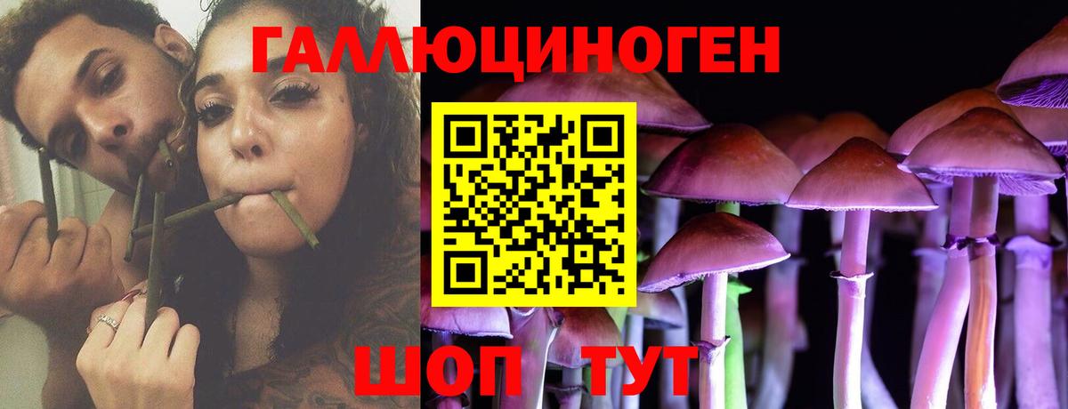 Галлюциногенные грибы мицелий  Вход с VPN  сколько стоит  Мыски 